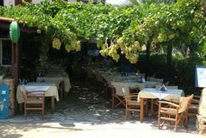Giannis Taverna ,