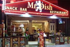 Mr Dish