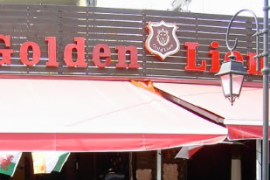 Golden Lion 