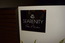 Serenity Villa