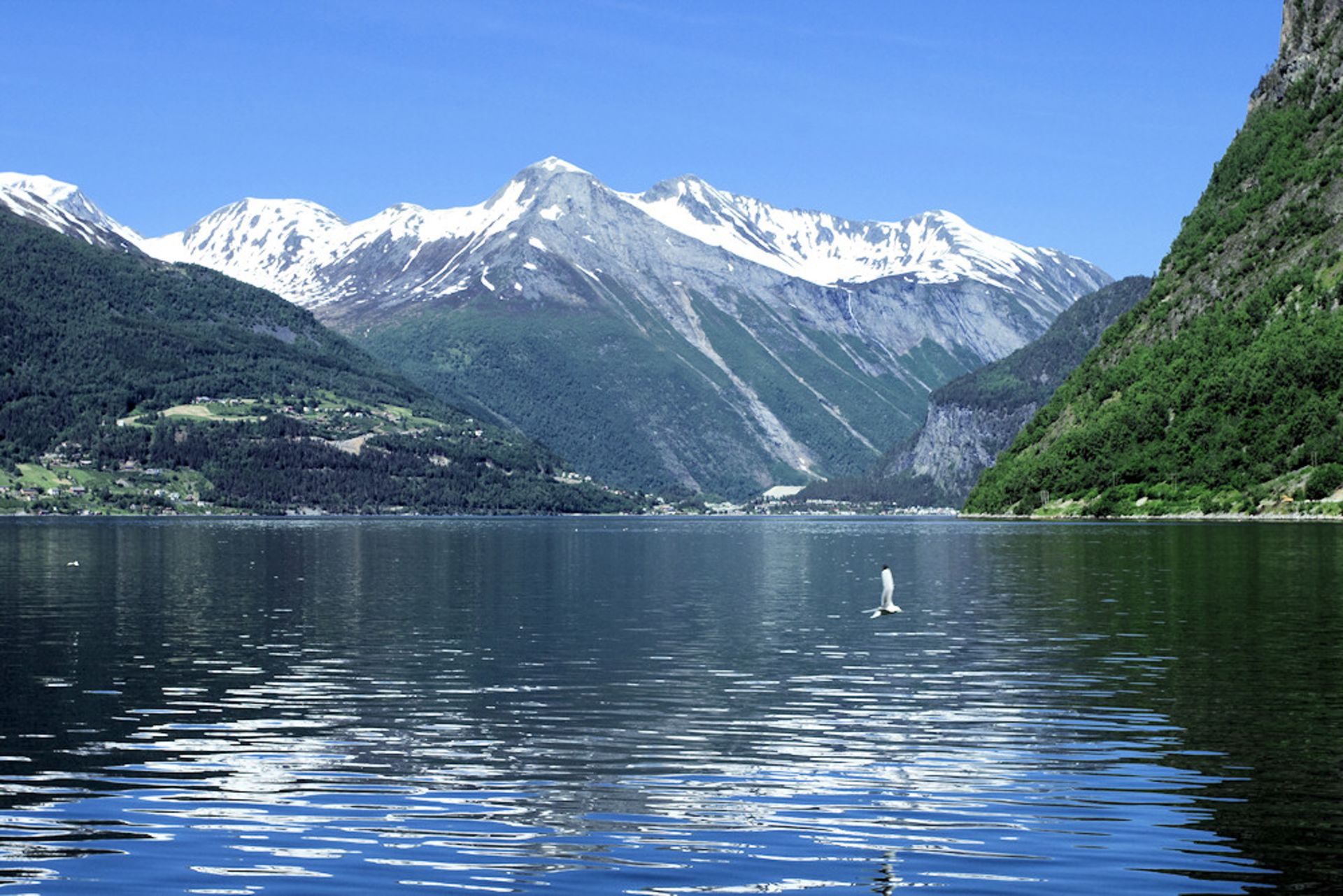 Geiranger Fjord in Norwegen