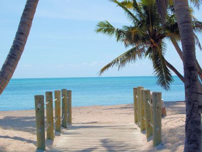 Ab/bis Miami die westliche Karibik entdecken