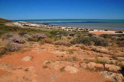 Durch die S&uuml;dsee nach Australien