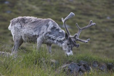 Faszination Fjordland