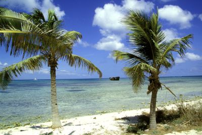 Tropische ABC-Inseln entdecken