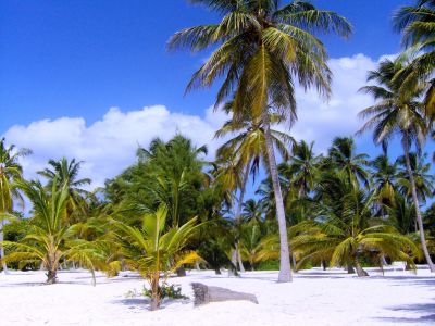 Von Traumstr&auml;nden bis an die Elbe