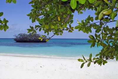 Paradiesische S&uuml;dseetage