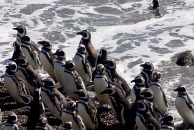 Eisige Welten der Antarktis