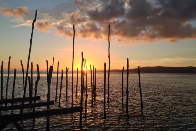 Paradiesische S&uuml;dseetage