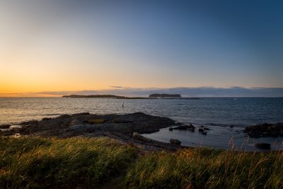 Vom Outback bis hin zum Big Apple kreuzen