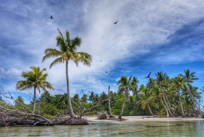 Die Magie der S&uuml;dsee
