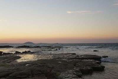 Die ganze Vielfalt des Pazifiks