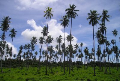 Abenteuer Australien bis S&uuml;dsee