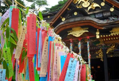 Faszinierende Natur Alaskas