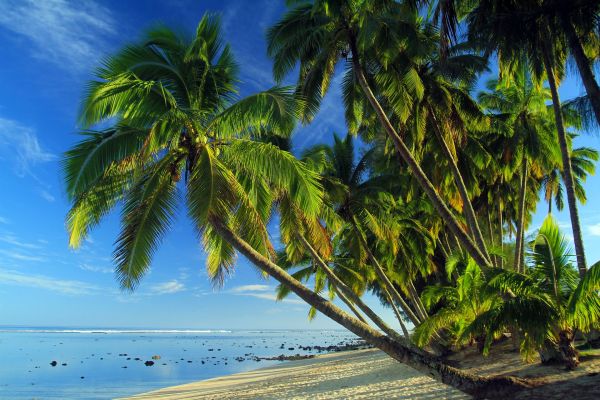 Aitutaki (Cookinseln), Neuseeland - Foto: Pixabay