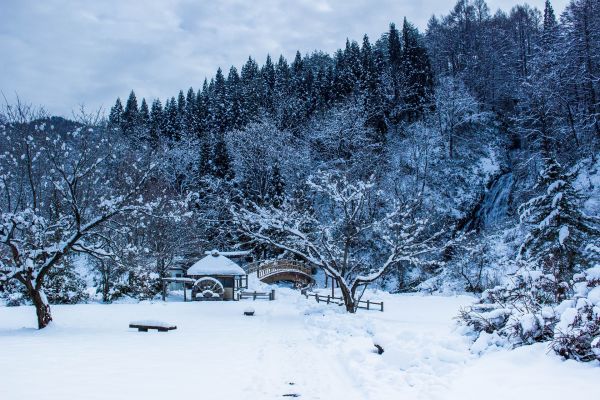 Akita, Japan - Foto: Pixabay