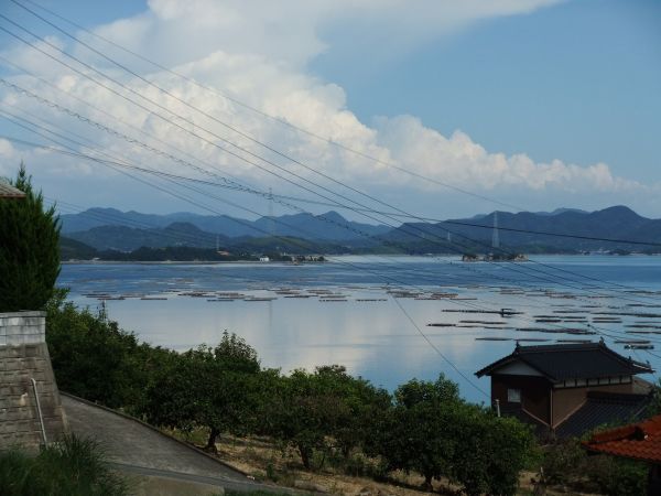 Amami, Japan - Foto: Pixabay