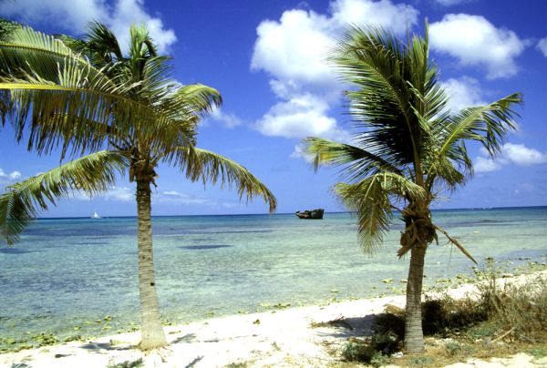 Aruba - südliche Karibik