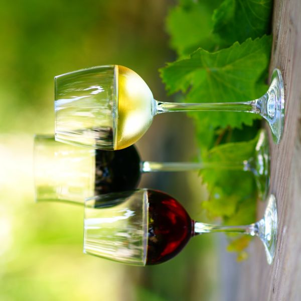 Alkohol auf Kreuzfahrten
