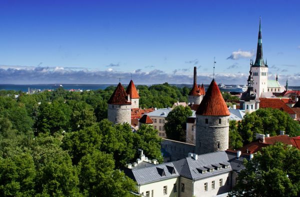 Die Altstadt Tallinns