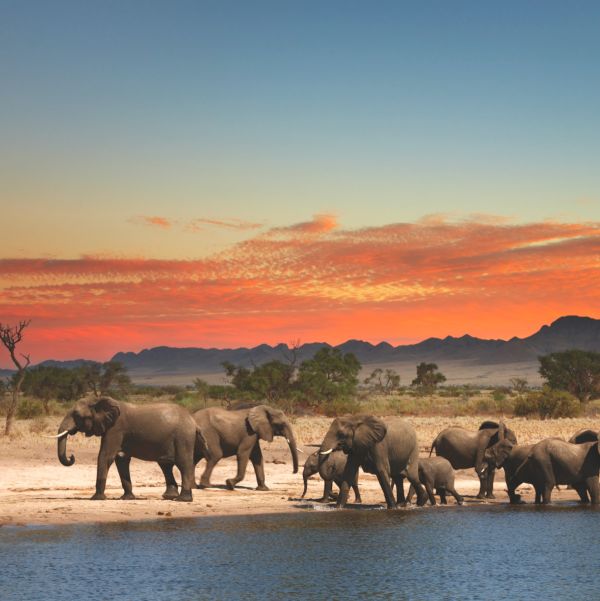 Afrika/Südafrika