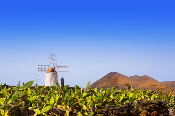 Namibia und Südafrika intensiv mit Mein Schiff Flow