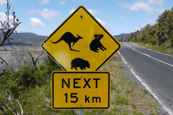 Kreuzfahrt nach Tasmanien ab/bis Sydney