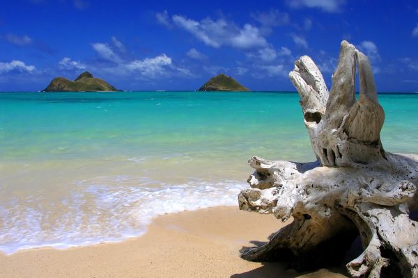 PAUSCHALREISE: Die Schönheiten Hawaiis