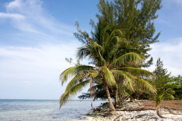 PAUSCHALREISE: Zwischen Bahamas und Mexiko