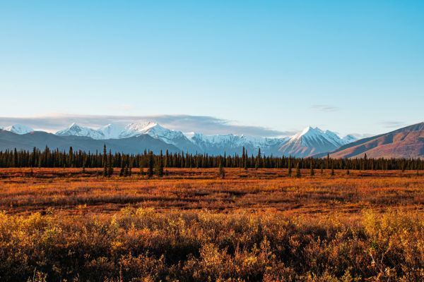 PAUSCHALREISE: Vielfalt von Hawaii bis Alaska