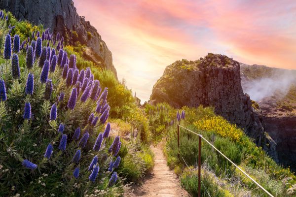 PAUSCHALREISE: Kanaren mit Madeira