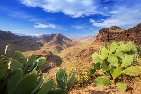 Kanaren und Marokko ab Gran Canaria