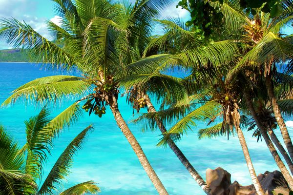 PAUSCHALREISE: Mexiko ab Florida