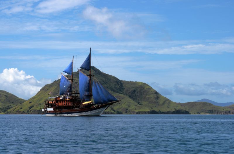 Komodo - Foto: erwinf - Fotolia