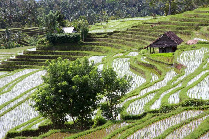 Bali - Foto: Siegfried Schnepf - Fotolia