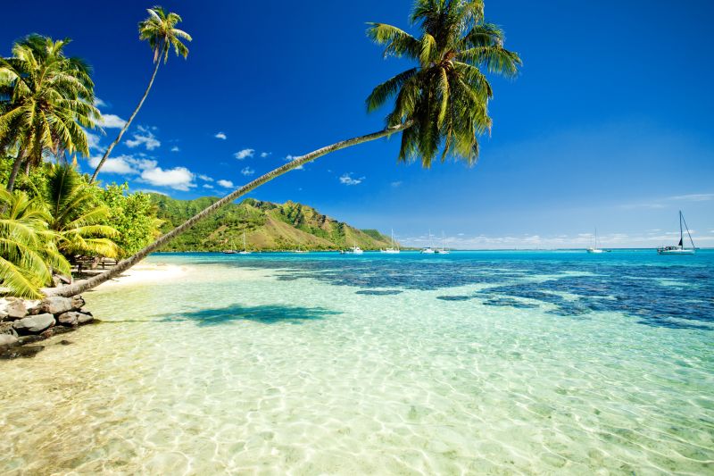 Moorea, Franz. Polynesien - Foto: Martin Valigursky - Fotolia