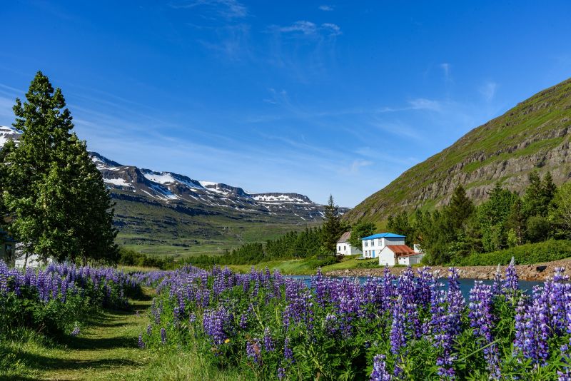 Seydisfjordur, Island - Foto: Pixabay