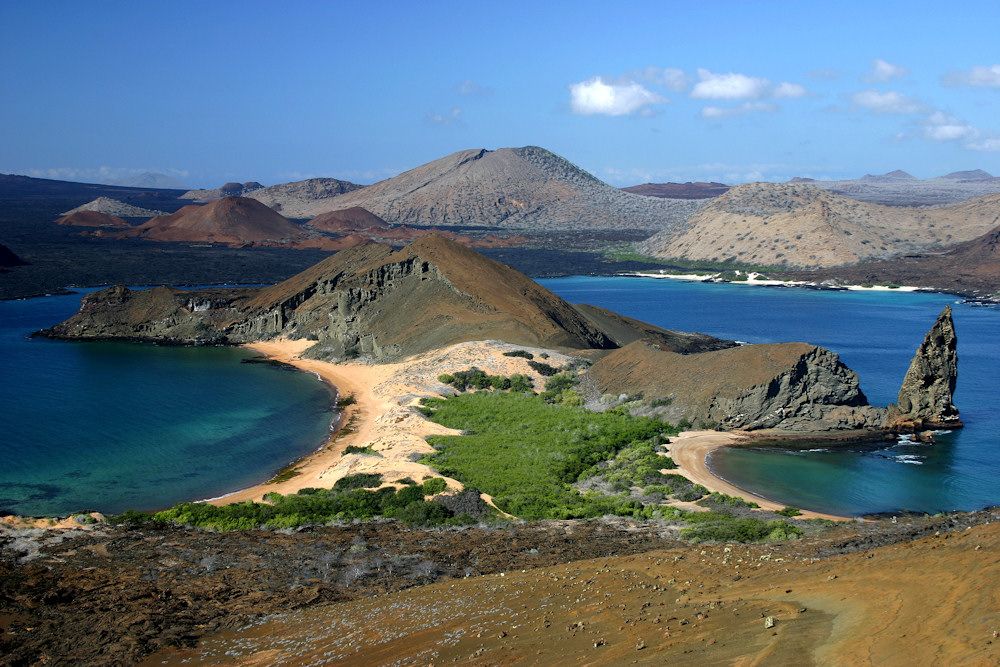 Entdecken Sie die einmalige Flora und Fauna der Galápagos Inseln