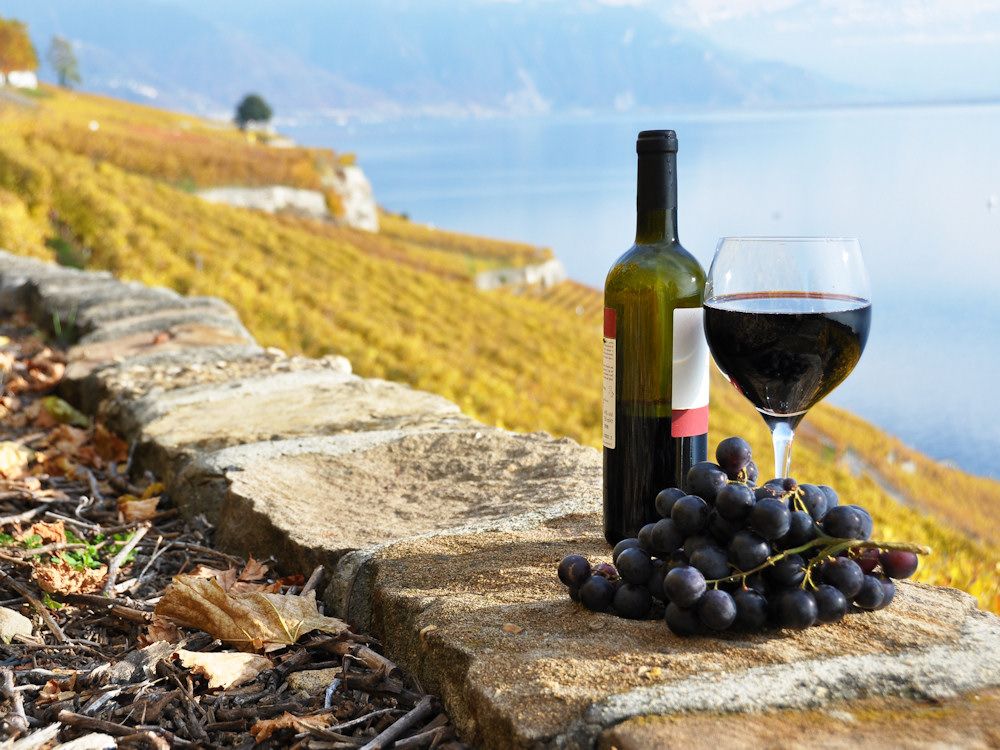 Vier Luxusliner von Celebrity Cruises starten 2013 zu Weinkreuzfahrten. 2013 finden neun Weinkreuzfahrten mit Celebrity Cruises statt!