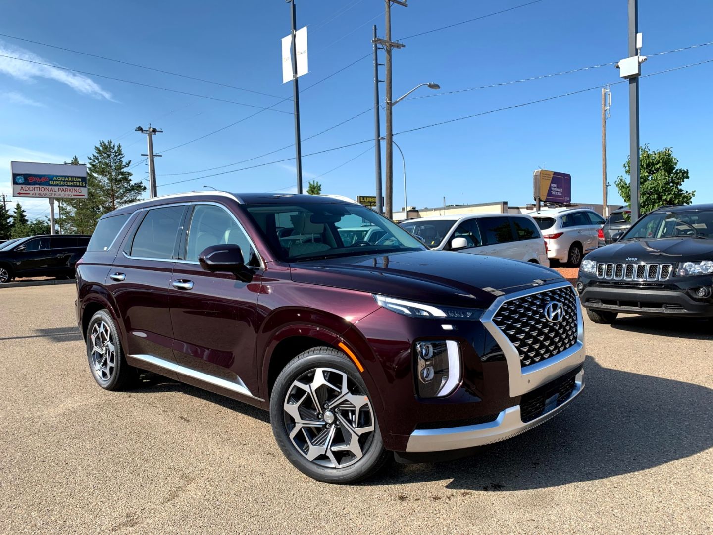 2021 Hyundai Palisade Calligraphy Exterior Colors 2021