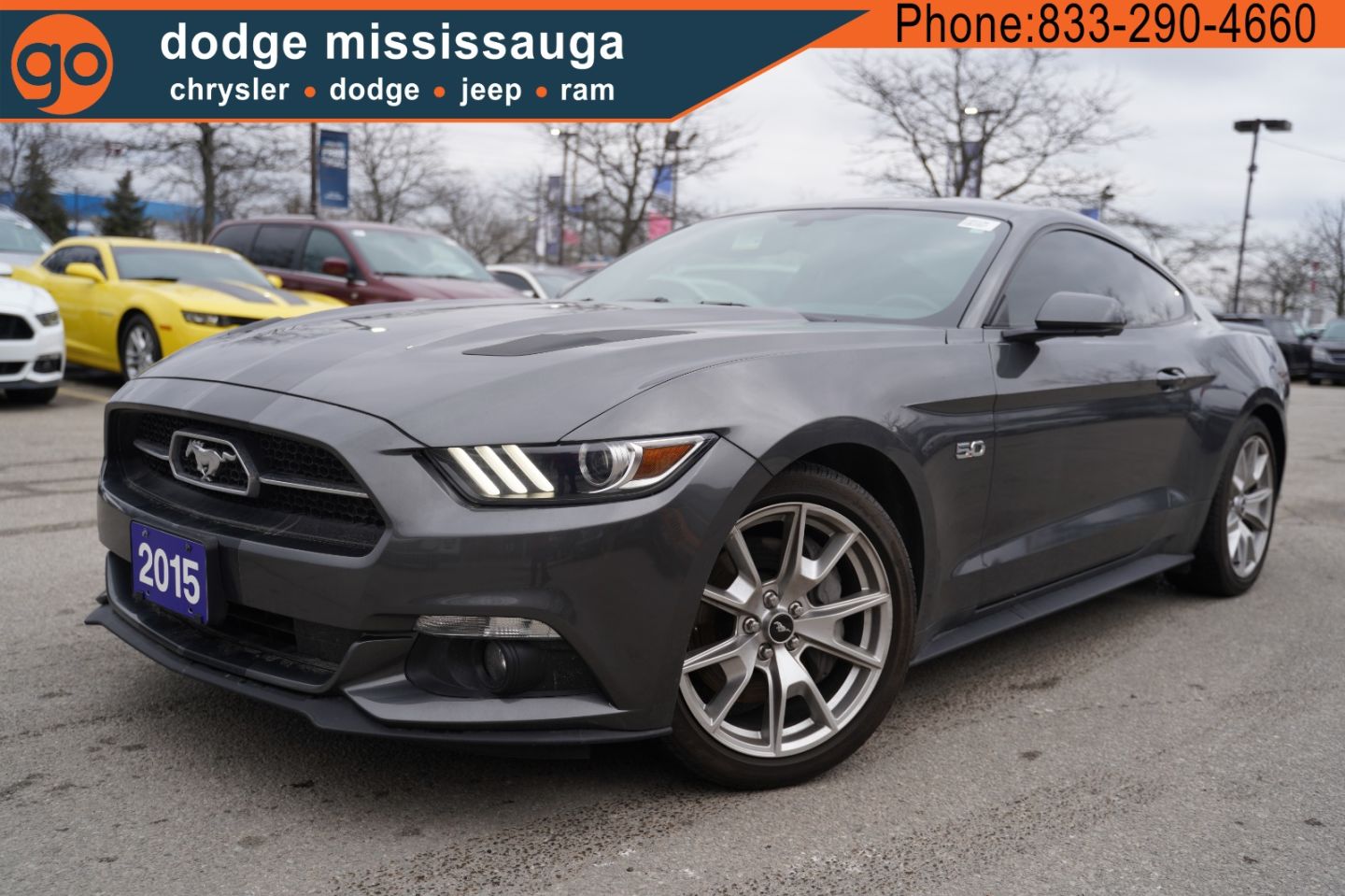 2015 Ford Mustang Gt For Sale >> 2015 Ford Mustang Gt 2015 Ford Mustang Gt For Sale >> 2015 Ford Mustang Gt