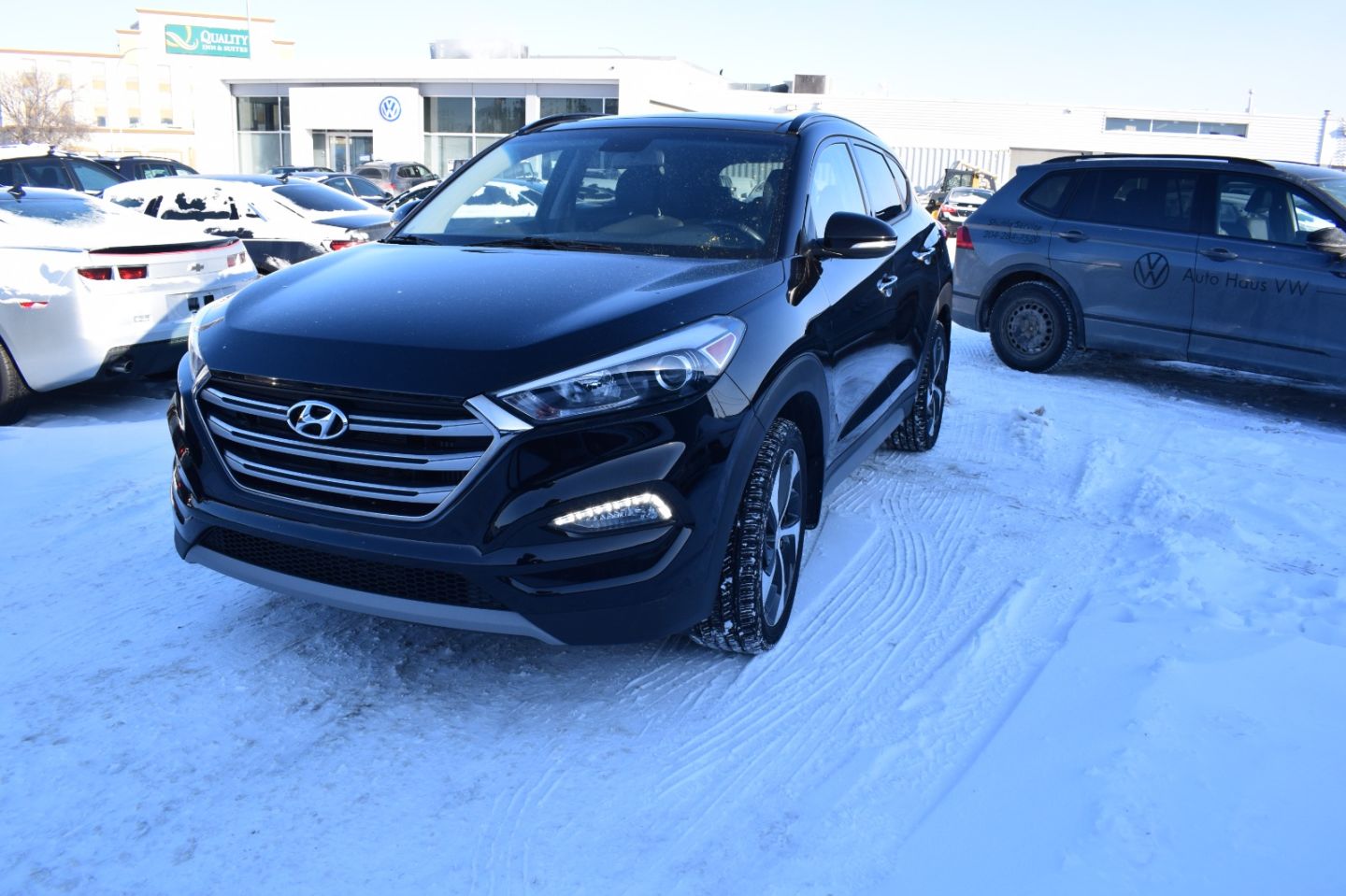 99  Aftermarket Car Parts Winnipeg  HD