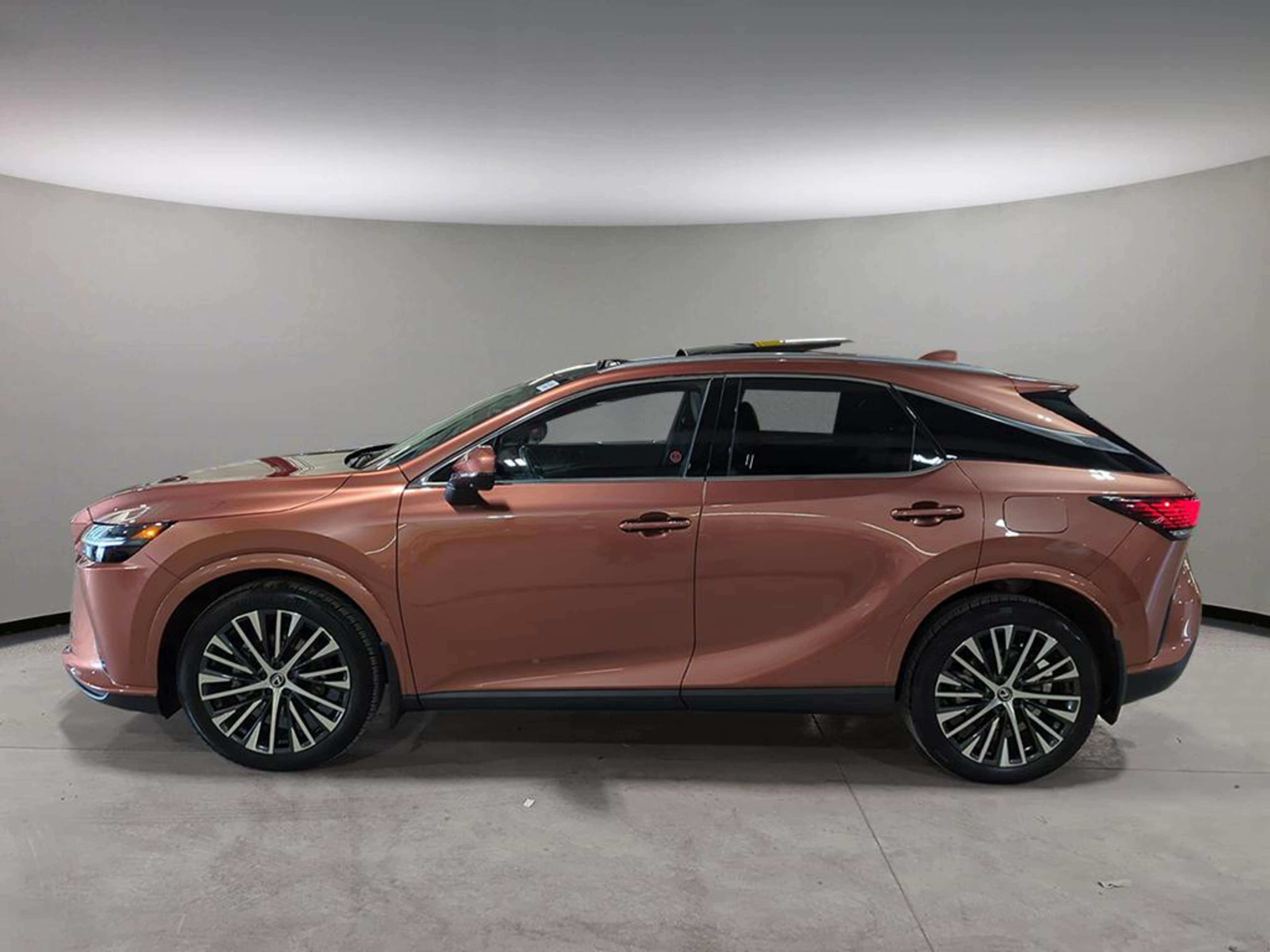 2023 Lexus RX 350 photo 3