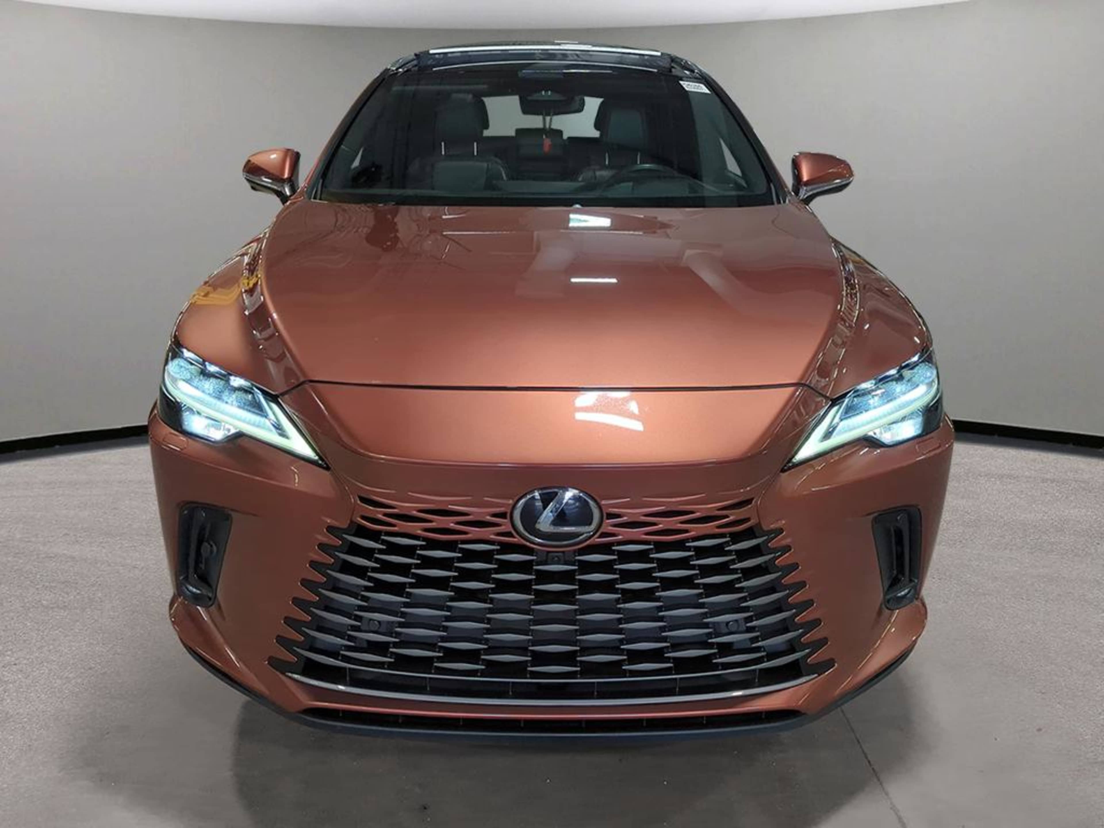 2023 Lexus RX 350 photo 2