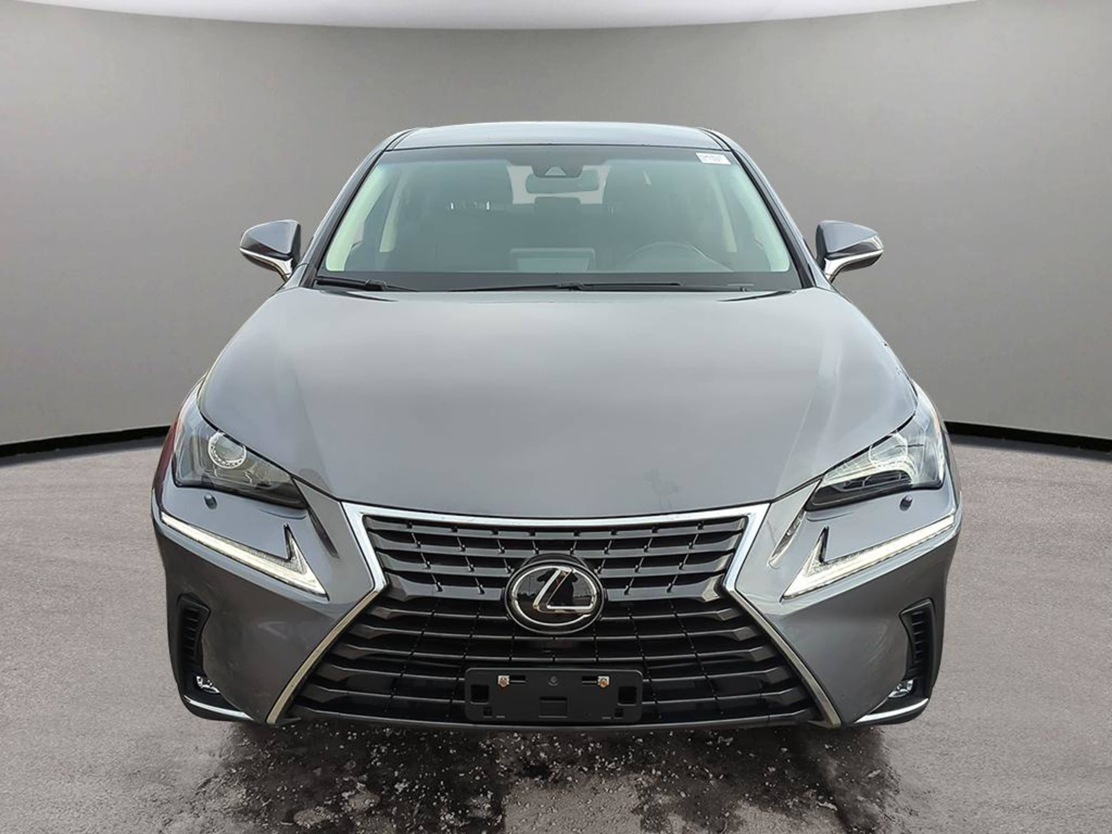 2019 Lexus NX 300 Luxury photo 2