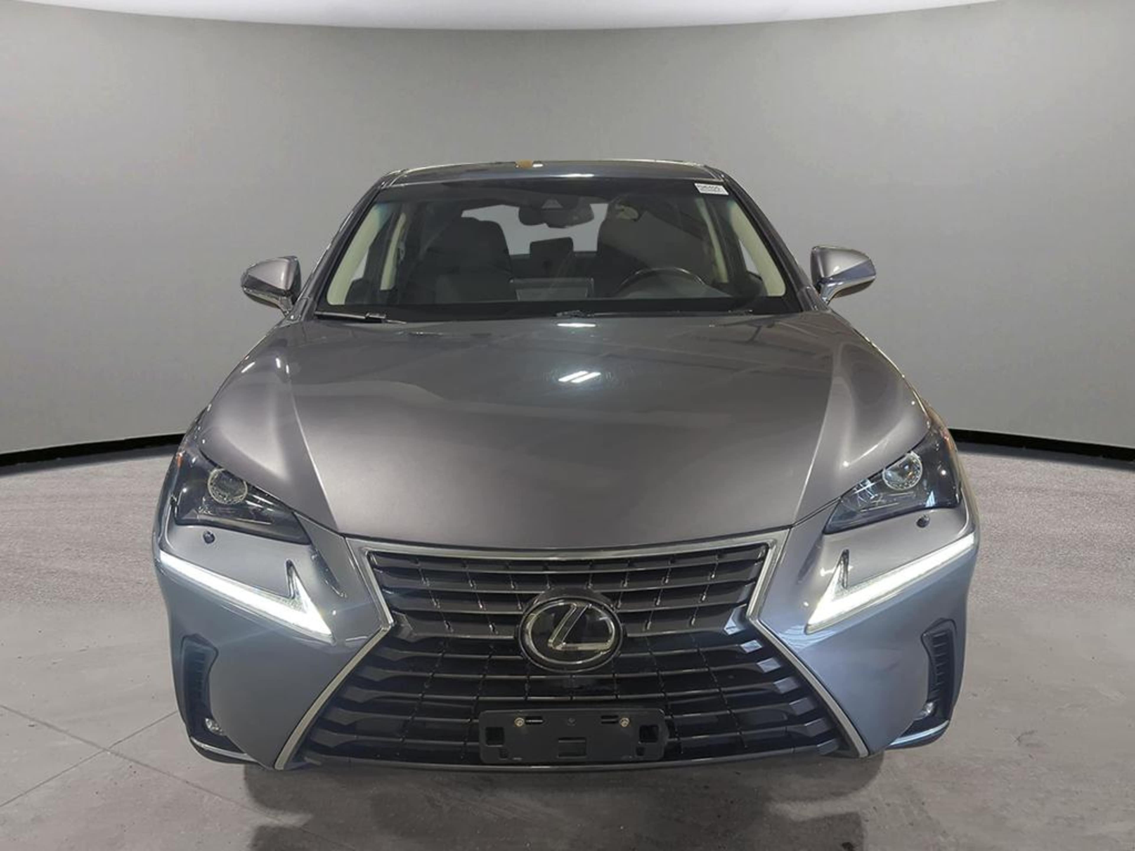 2019 Lexus NX 300 Luxury photo 2