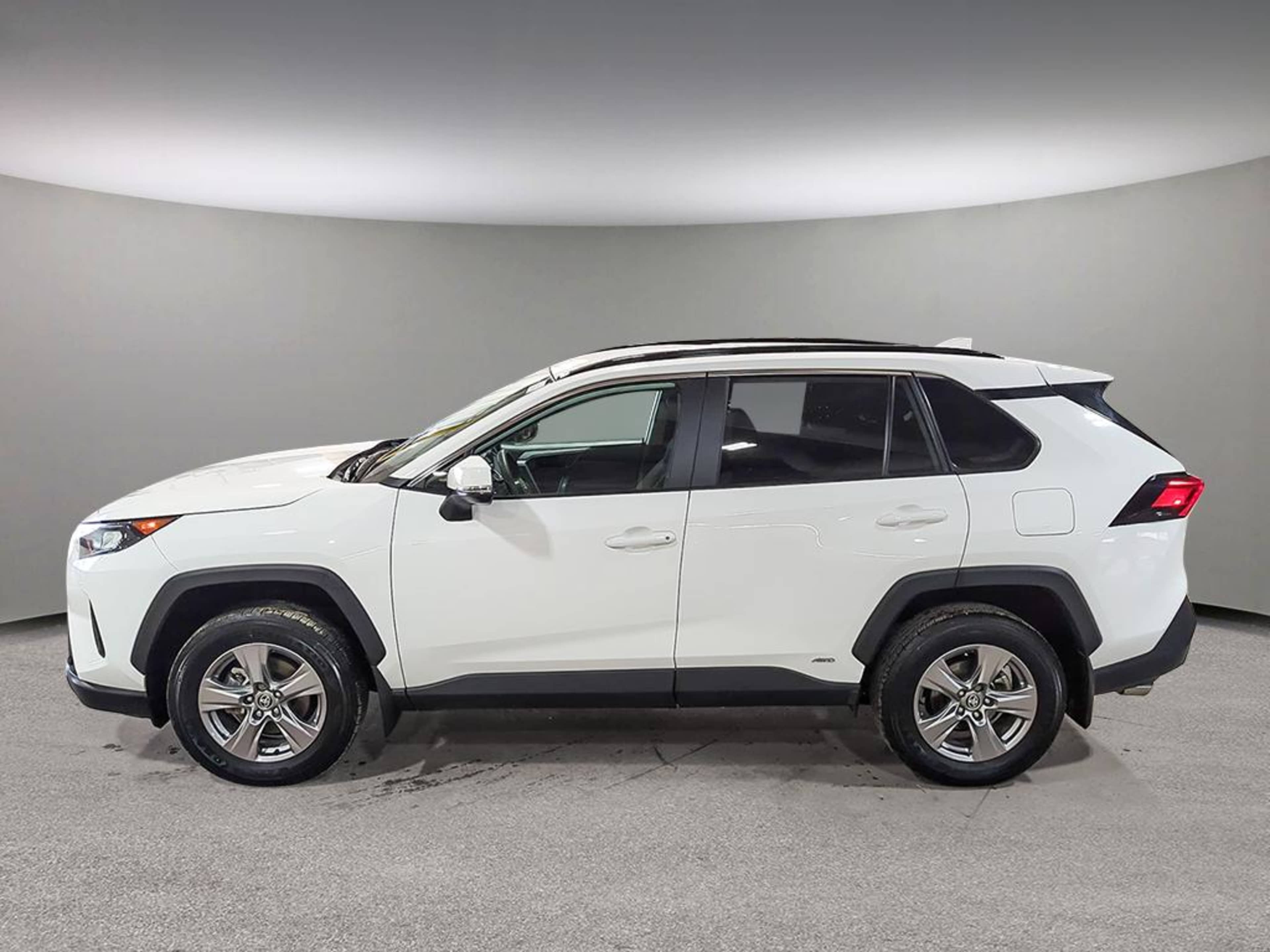 2025 Toyota RAV4 XLE Premium photo 3