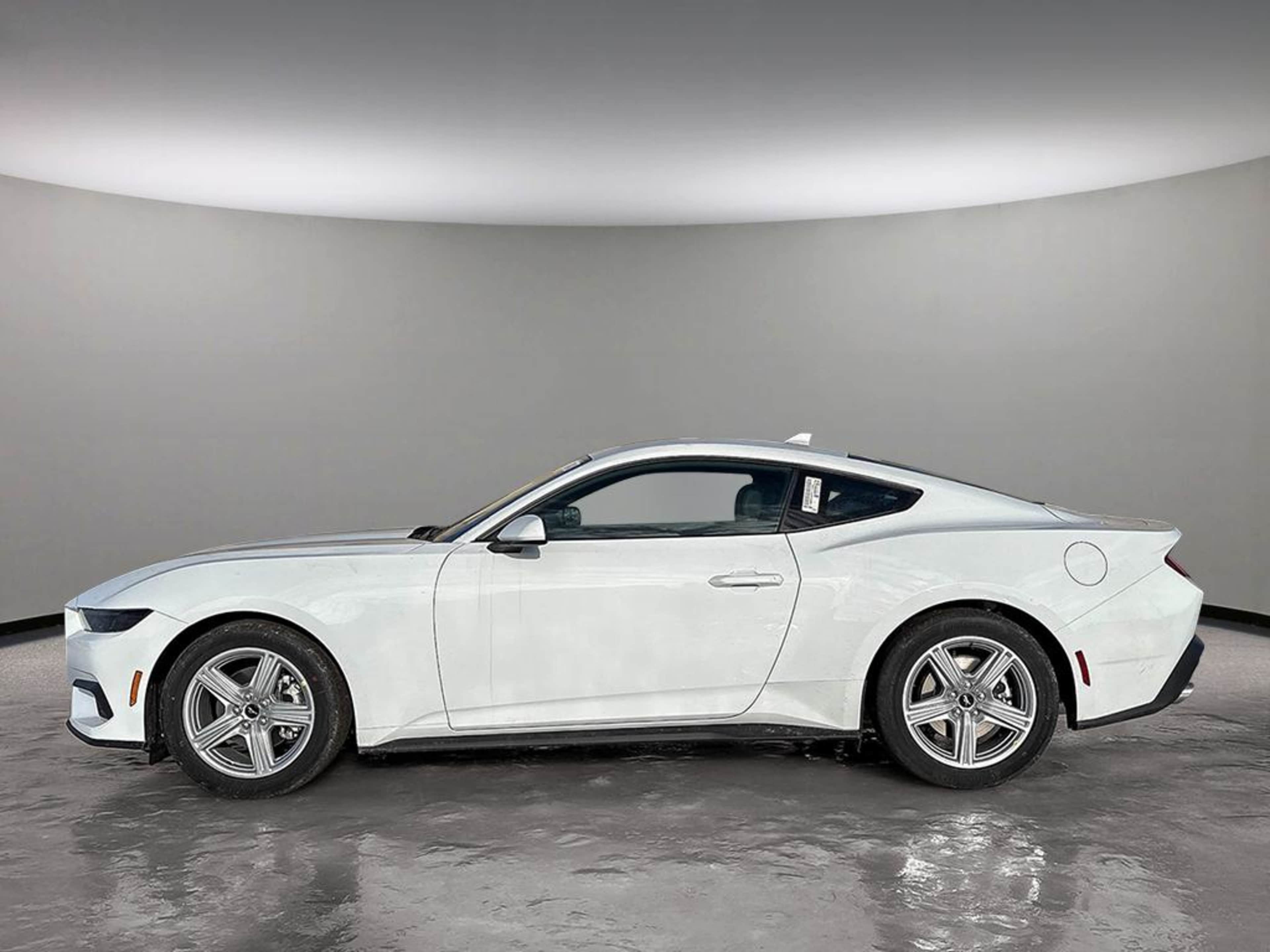 2026 Ford Mustang EcoBoost photo 3