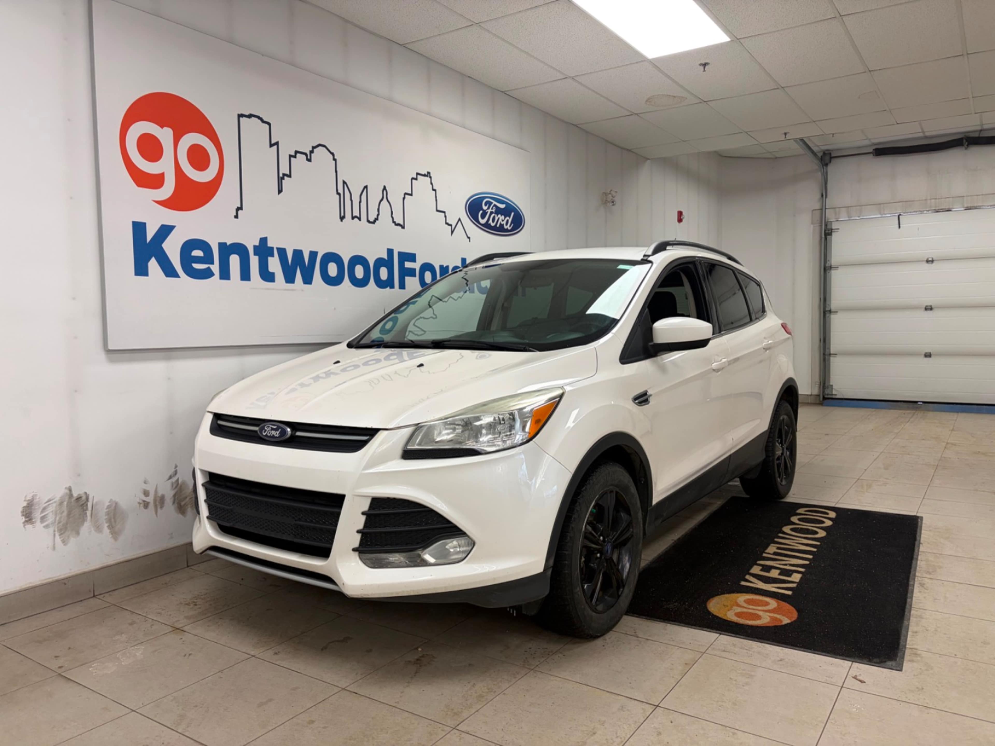 2014 Ford Escape SE photo 2