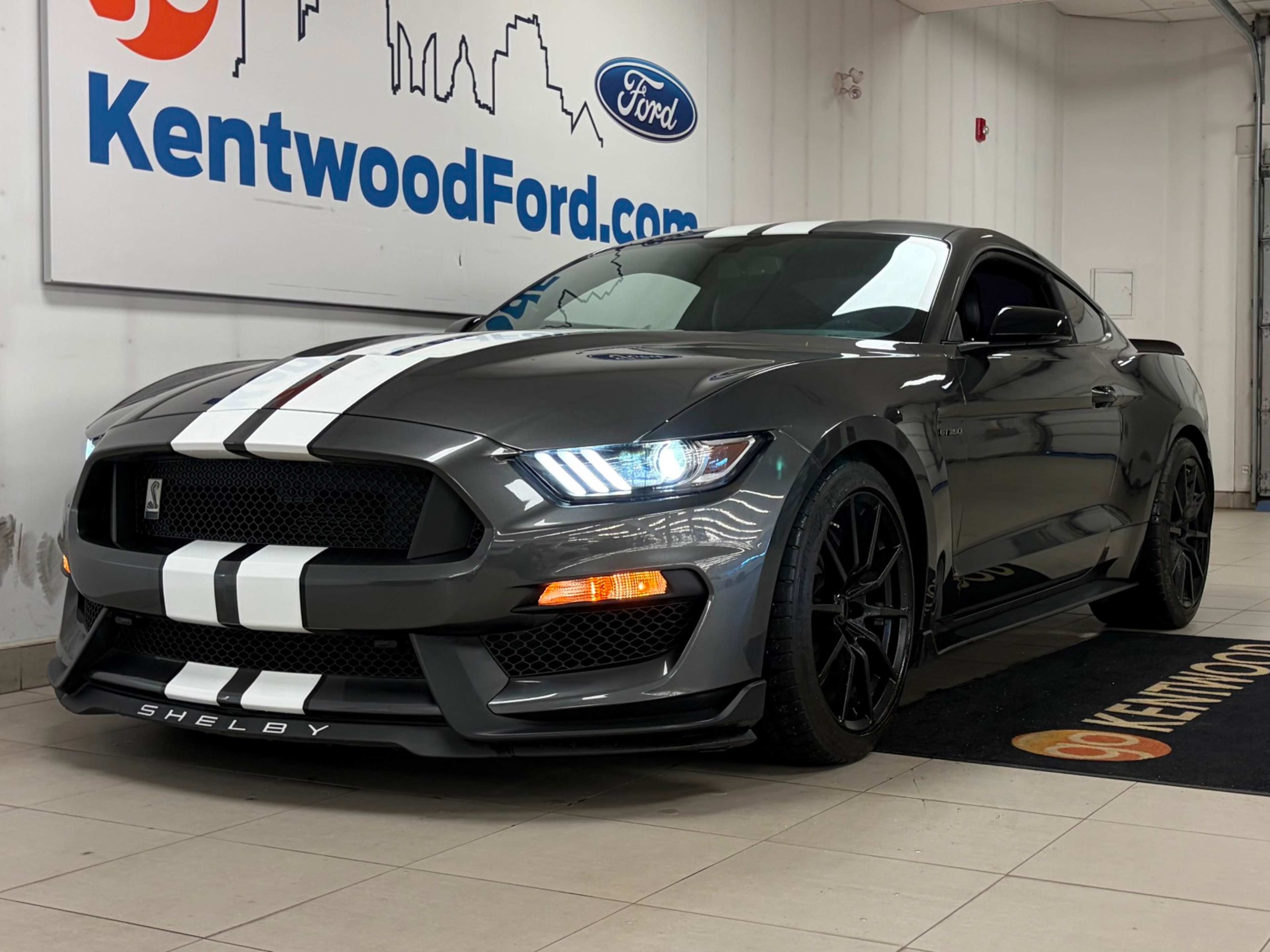 2017 Ford Mustang Shelby photo 2